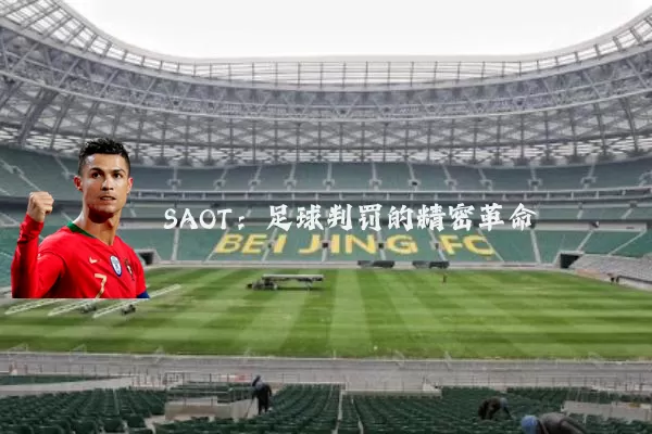 SAOT:足球判罚的精密革命