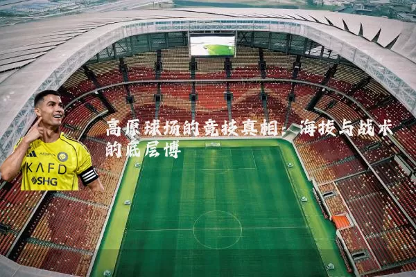 高原球场的竞技真相：海拔与战术的底层博弈